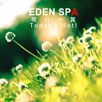 EDEN SPA